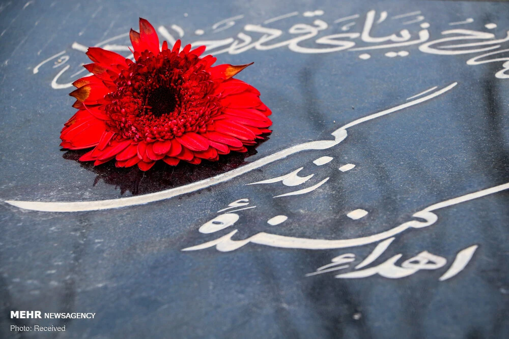 مرگ مغزی و اهدای عضو: فرصتی برای نجات جان‌ها