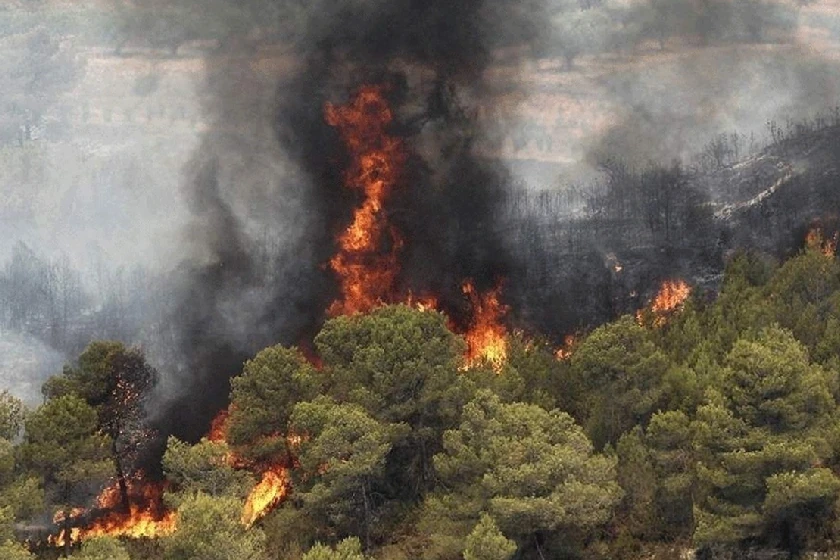 دستور فرماندار نوشهر: مسدودسازی مسیرهای جنگلی برای پیشگیری از آتش‌سوزی