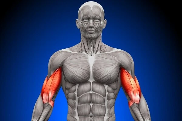 رمزگشایی پیام‌های مولکولی پنهان: کشفی انقلابی برای تشخیص زودهنگام بیماری‌ها